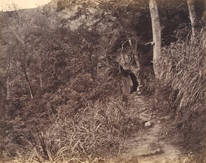 Linker Weg zum Yuen-Foo-Kloster, ca. 1869