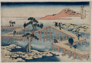 Ein altes Bild der Acht-Teil-Brücke in der Provinz Mikawa (aus der Serie Neugierige Ansichten berühmter Brücken in den Provinzen) von After Katsushika Hokusai