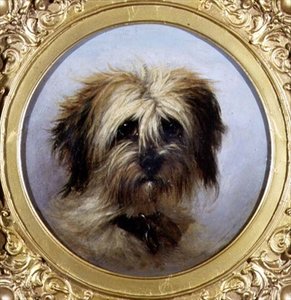 Ein Kopf eines Terriers von Agnes Dundas
