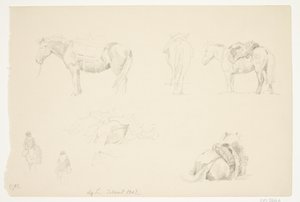 Studienblatt mit Pferden von Agnes Lunn