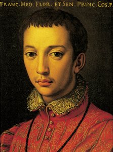 Porträt von Francesco I. de Medici (Florenz)