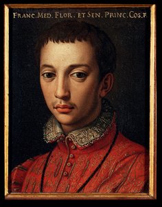 Porträt von Francesco I. de