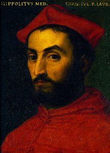 Porträt von Ippolito de Medici von Agnolo Bronzino