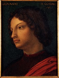 Porträt von Giovanni di Cosimo de