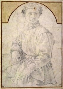 Studie für einen jungen Mann mit Laute von Agnolo Bronzino