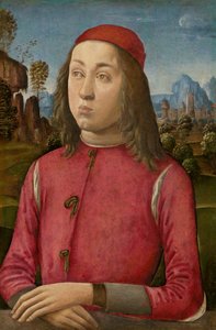 Porträt eines Jugendlichen von Agnolo di Domenico del Mazziere or Donnino di Domenico