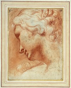 Kopf einer jungen Frau, die über ihre rechte Schulter nach unten schaut von Agostino Carracci