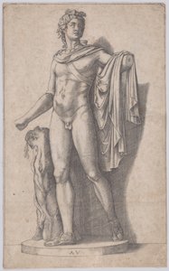 Apollo, ca. 1514-36 von Agostino Veneziano