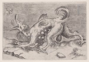 Der Drache und die Biene