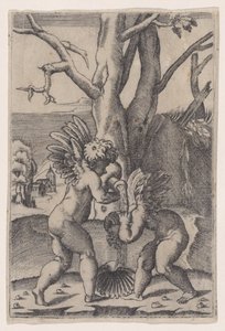 Zwei Cupidos, ca. 1519 von Agostino Veneziano