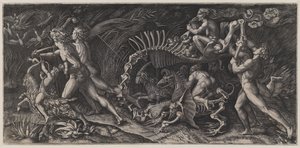 Das Aas ("Lo Stregozzo")