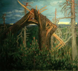 Die gebrochene Kiefer