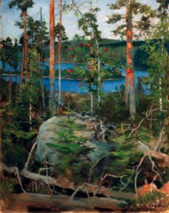 Landschaft am Jamajärvisee
