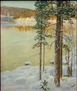 Zugefrorener See, Ruovesi