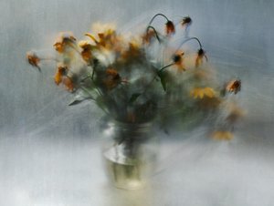 Träumerische Verblassende Blumen