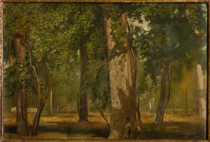 Der Wald