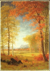 Herbst in Amerika, Oneida County, New York