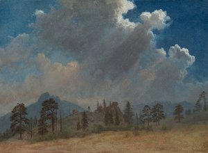 Tannen und Sturmwolken, ca. 1870