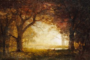 Sonnenaufgang im Wald von Albert Bierstadt