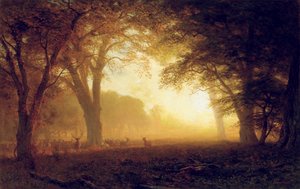 Goldenes Licht von Kalifornien