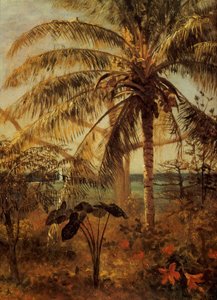 Palme, Nassau, 1892 von Albert Bierstadt
