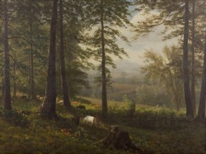 Blick auf eine Lichtung von Albert Bierstadt