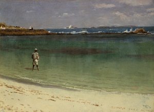 Westindische Küstenszene, ca. 1880-93 von Albert Bierstadt