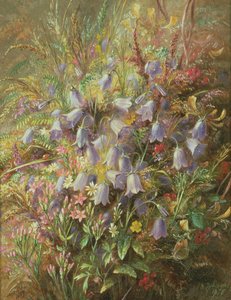 Glockenblumen und andere Waldblumen und Gräser von Albert Durer Lucas