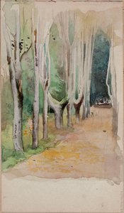  von Albert Edelfelt