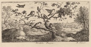 Ficedula, der Gimpel von Albert Flamen