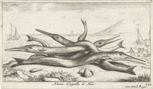 Fische am Strand
