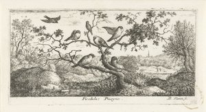 Landschaft mit Schnepfen (Vogelbuch) von Albert Flamen