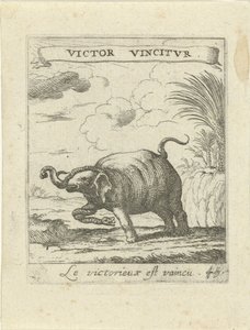 Elefant und Schlange von Albert Flamen