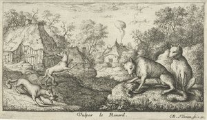 Füchse von Albert Flamen
