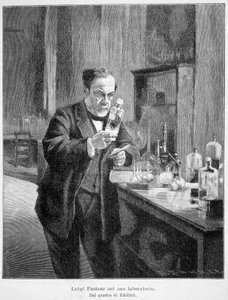 Louis Pasteur in seinem Labor nach dem Gemälde von Edelfelt von Albert Gustaf Aristides (after) Edelfelt