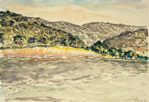 Küstenlandschaft bei Île de Port Cros