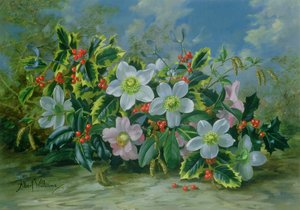 Weihnachtsrosen und Stechpalmen
