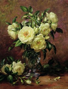 Weiße Rosen, ein Geschenk des Herzens