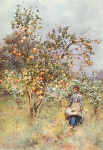 Zitronenbäume: Frühling von Alberto Pisa