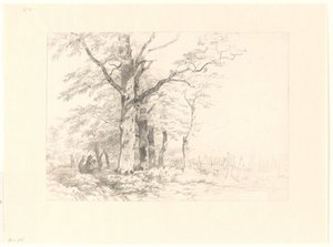 Studie von Eichen in einer Landschaft