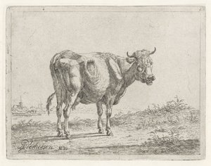 Stehende Kuh von Albertus Verhoesen