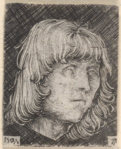 Kopf eines jungen Mannes von Albrecht Altdorfer