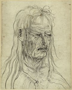 Kopf einer hässlichen Greisin, nach rechts von Albrecht Altdorfer