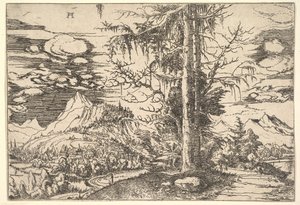 Landschaft mit einer doppelten Fichte von Albrecht Altdorfer