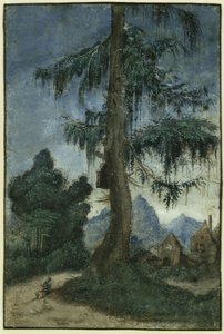 Landschaft mit Fichte von Albrecht Altdorfer