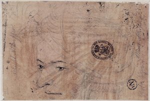  von Albrecht Altdorfer