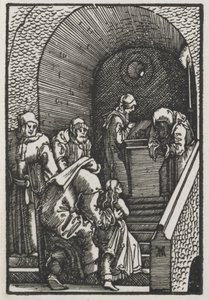 Der Fall und die Erlösung des Menschen: Die Darstellung der Jungfrau im Tempel, 1515 von Albrecht Altdorfer