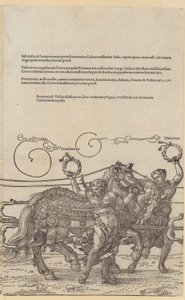 Acrimonia, Blatt 6 der Folge "Der Große Triumphwagen" von Albrecht Dürer