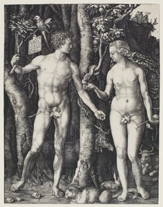 Adam und Eva von Albrecht Dürer