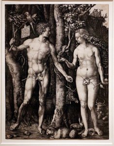 Adam und Eva von Albrecht Dürer